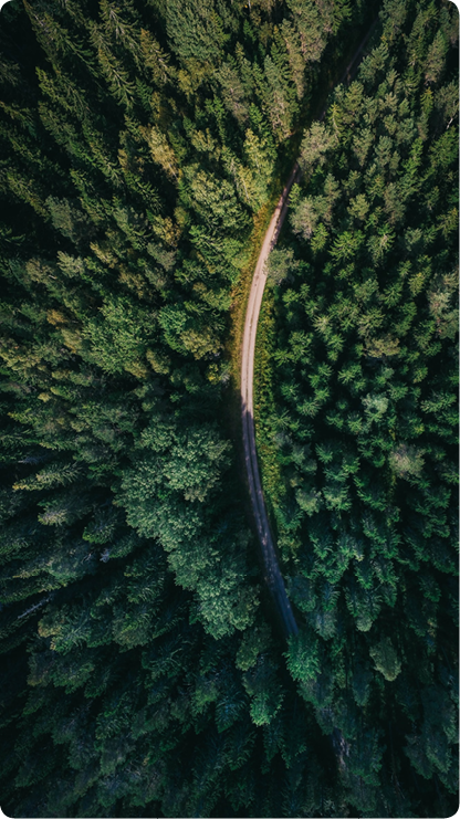 Natur im Ötztal