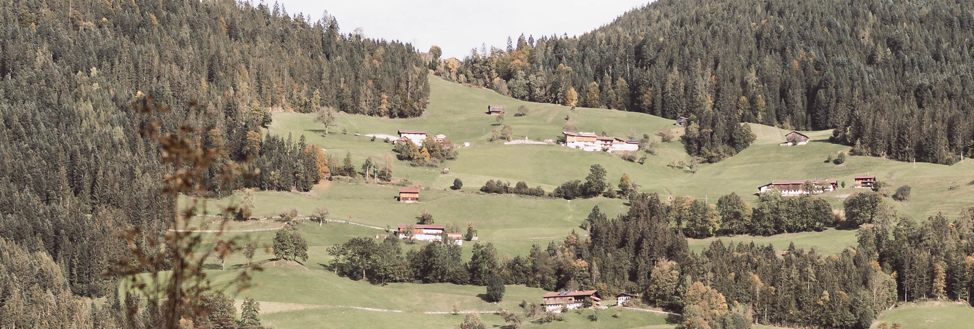 Felder und Wald im Zillertal